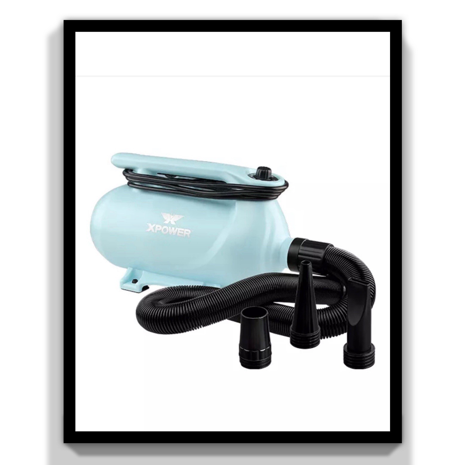 XPOWER-B-163-HOCHGESCHWINDIGKEITS-DOPPELMOTOR-HAUSTIERTROCKNER-398260511969
